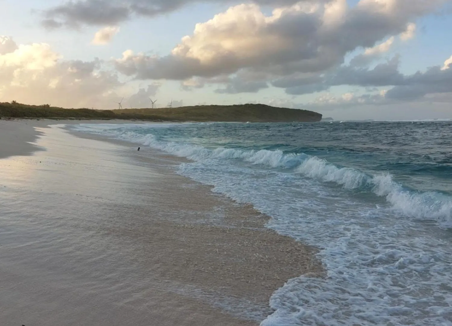 Bois Soleil Apartment Saint-Francois  Guadeloupe